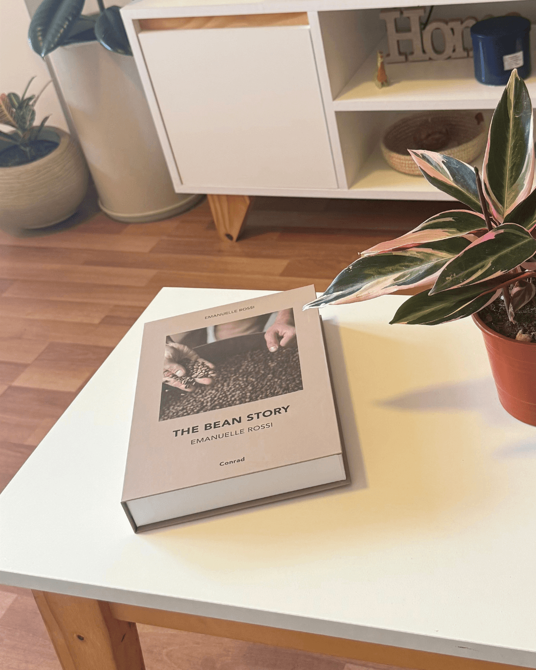 book bean story table